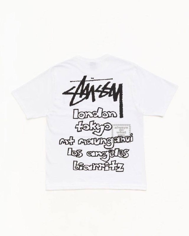 Camiseta Stussy